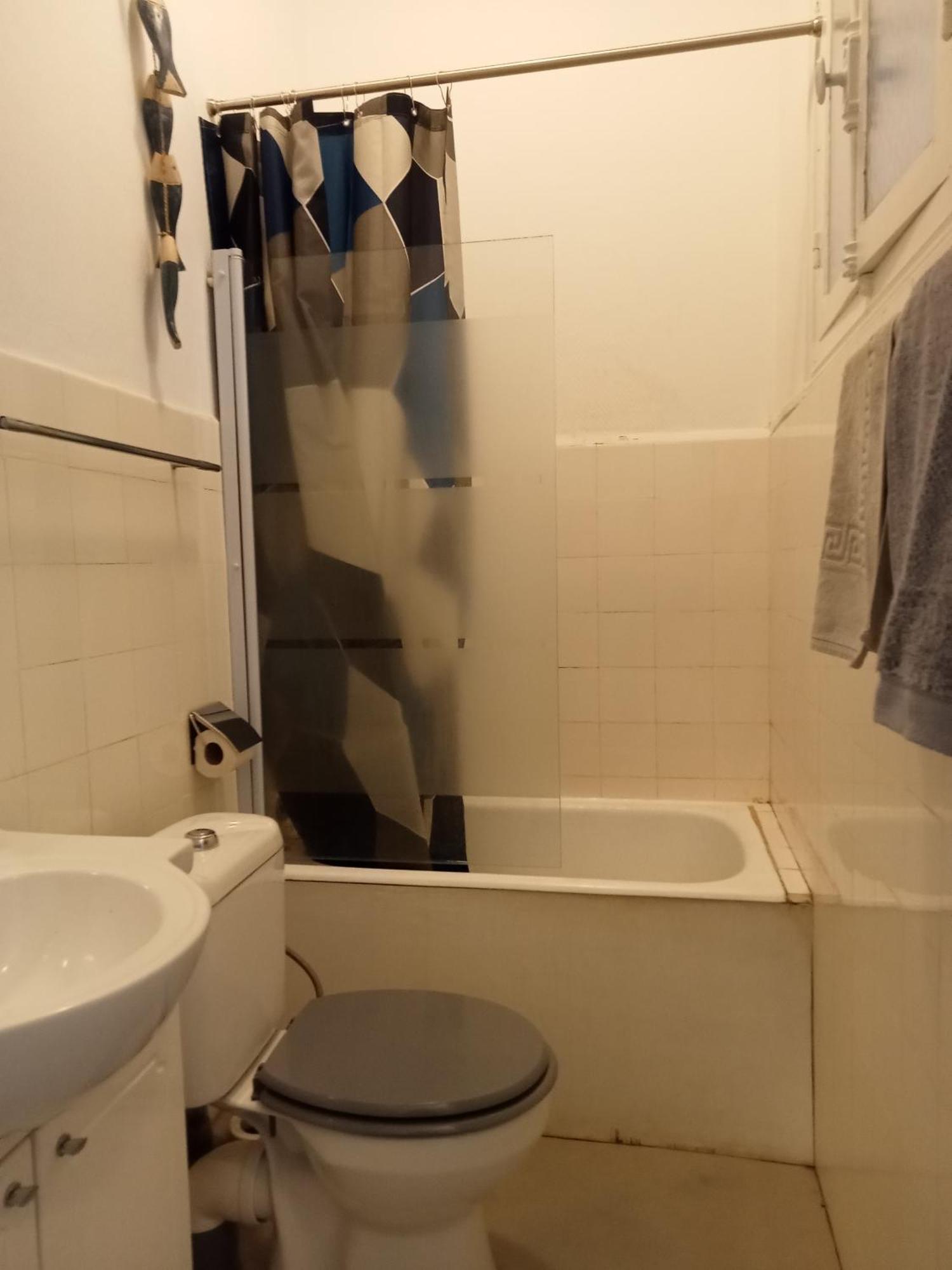 Grand F2 Lumineux Apartment *